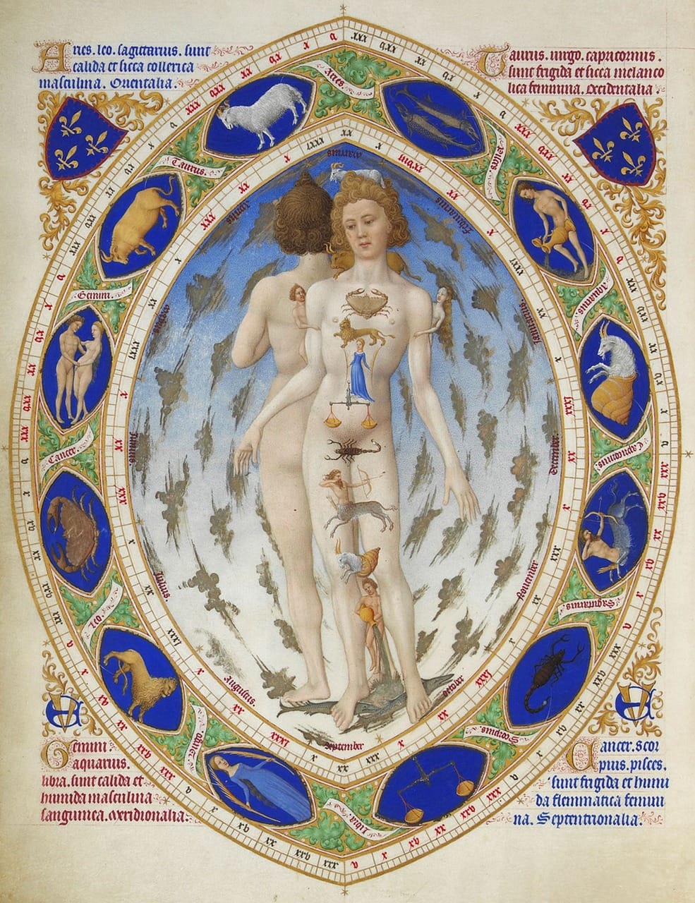 zodiac, astrology, star sign