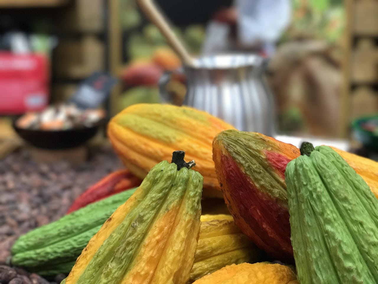 Feasibility Study of Cacao in la Sierra Nevada of Colombia